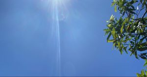 2020年バリ島のニュピと新型コロナ騒動と個人的事件